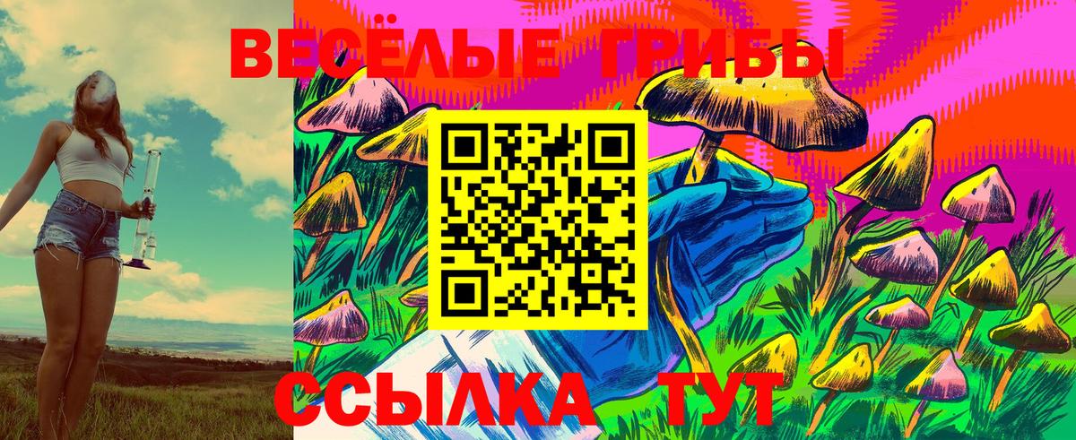 Галлюциногенные грибы MAGIC MUSHROOMS Славгород